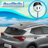 San Francisco Giants Car Antenna Topper (MLB Baseball) - Thin Antenna Fit