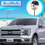 Minnesota Twins Car Antenna Topper (MLB Baseball) - Thin Antenna Fit