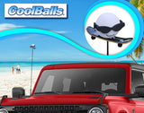 Coolballs "Cool Shred Dog" Skater Boy Antenna Topper - Thin Antenna Fit