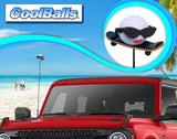 Coolballs "Cool Skater Girl" Skateboarder Car Antenna Topper - Thin Antenna Fit