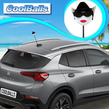 Coolballs Cowgirl Red Lips Car, Truck, SUV Antenna Topper
