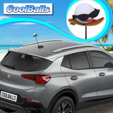 Coolballs "Cool Wahine" Surfing Surfer Gal Car Antenna Topper