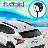 Boston Bruins Car Antenna Topper (NHL Hockey) - Thin Antenna Fit