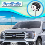 Boston Bruins Car Antenna Topper (NHL Hockey) - Thin Antenna Fit