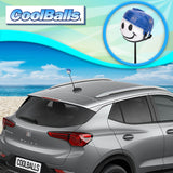 Colorado Avalanche Car Antenna Topper (NHL Hockey) - Thin Antenna Fit