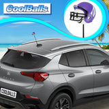 Northwestern Wildcats Car Antenna Topper (College Football) - Thin Antenna Fit