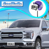 Northwestern Wildcats Car Antenna Topper (College Football) - Thin Antenna Fit