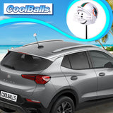 Miami Dolphins Car Antenna Topper (NFL Football) - Thin Antenna Fit