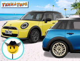 Tenna Tops Cowboy Car Antenna Topper - Thin Antenna Fit