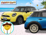 HappyBalls Cowgirl Car Antenna Topper - Thin Antenna Fit
