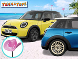 Tenna Tops Pink Cowgirl Hat Car Antenna Topper - Thin Antenna Fit