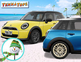 Tenna Tops Snowman Green Winter Hat & Scarf Car Antenna Topper - Thin Antenna Fit