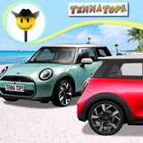 Tenna Tops Cowboy Car Antenna Topper - Thick Antenna Fit
