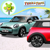 Tenna Tops Cute Frog Car Antenna Topper (Green) - Thick Antenna Fit