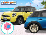 Tenna Tops Pink Daisy (Blue Center) Car Antenna Topper - Thin Antenna Fit