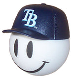 Tampa Bay Rays Car Antenna Topper (MLB Baseball) - Thin Antenna Fit