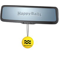 HappyBalls Birth Sign - Aquarius Car Antenna Topper