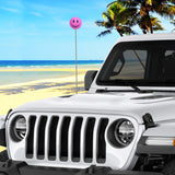 ..HappyBalls Happy Smiley Face Car Antenna Ball (Pink)