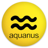HappyBalls Birth Sign - Aquarius Car Antenna Topper / Mirror Dangler / Auto Dashboard Accessory
