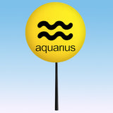 HappyBalls Birth Sign - Aquarius Car Antenna Topper / Mirror Dangler / Auto Dashboard Accessory