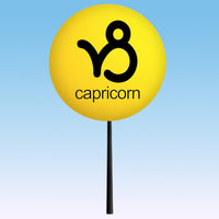 HappyBalls Birth Sign - Capricorn Car Antenna Topper / Mirror Dangler / Auto Dashboard Accessory