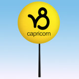 HappyBalls Birth Sign - Capricorn Car Antenna Topper / Mirror Dangler / Auto Dashboard Accessory