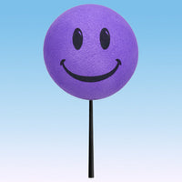 ..HappyBalls Happy Smiley Face Car Antenna Topper / Auto Dashboard Accessory (Purple)