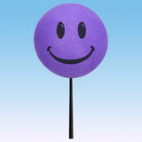 ..HappyBalls Happy Smiley Face Car Antenna Topper / Auto Dashboard Accessory (Purple)