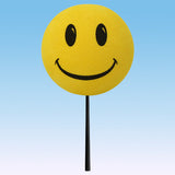 ...HappyBalls Happy Smiley Face Car Antenna Topper / Auto Dashboard Buddy (Yellow)