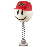 Arizona Diamondbacks Hat Car Antenna Topper / Mirror Dangler / Auto Dashboard Accessory (MLB Baseball)