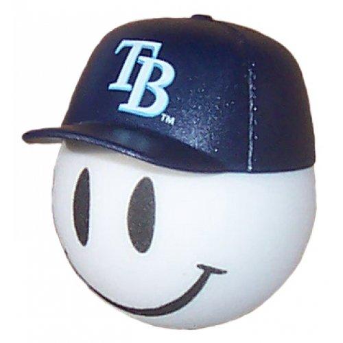 Tampa Bay Rays Car Antenna Topper (MLB Baseball)