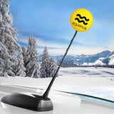 HappyBalls Birth Sign - Aquarius Car Antenna Topper / Mirror Dangler / Auto Dashboard Accessory