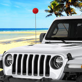 Coolballs Plain Red Car Antenna Ball