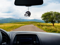 Baltimore Ravens Antenna Topper / Mirror Dangler / Auto Dashboard Buddy (Car Accessory) (NFL Football)