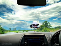 Coolballs "Cool Skate Chick" Skateboarder Car Antenna Topper / Mirror Dangler / Auto Dashboard Accessory