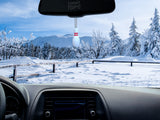 Tenna Tops Bowler Bowling Pin Car Antenna Topper / Mirror Dangler / Auto Dashboard Accessory