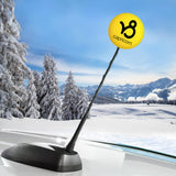 HappyBalls Birth Sign - Capricorn Car Antenna Topper / Mirror Dangler / Auto Dashboard Accessory