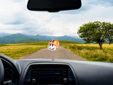 Clemson Tigers Car Antenna Topper / Mirror Dangler / Dashboard Buddy (Auto Accessory) (College Football)