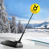 HappyBalls Birth Sign - Taurus Car Antenna Topper