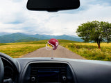 Texas A&M Aggies Football Car Antenna Topper / Mirror Dangler / Dashboard Buddy (Auto Accessory) (Yellow Smiley)