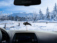 Cooltoppers "Cool Whale" Car Antenna Topper / Mirror Dangler / Auto Dashboard Accessory